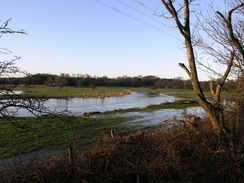 P20081302674	The flooding River Avon in Ringwood.