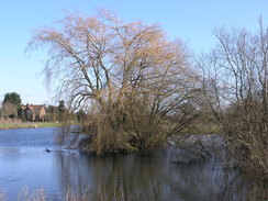 P20081302743	A pond in Parley Green.