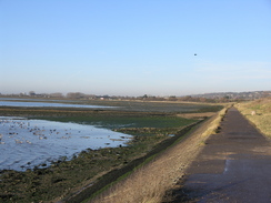 P20082082852	Heading west towards Farlington Marshes.