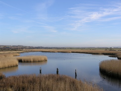 P20082082866	Farlington Marshes.