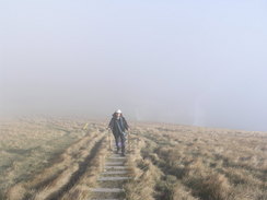 P20082103151	The ascent west onto Bindon Hill.