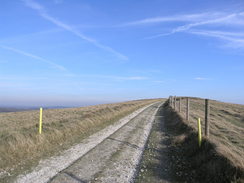 P20082103240	The track on top of Bindon Hill.