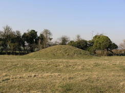 P20082133489	A tumulus near Badbury Rings.