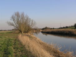 P20082133517	The River Stour to the east of Shapwick.