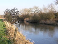 P20082133523	The River Stour to the east of Shapwick.