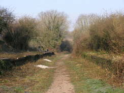 P20082183591	Heading northwest along the old railway line towards Charlton Marshall.