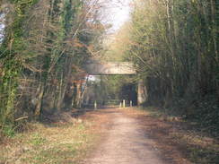 P20082183596	Heading northwest along the old railway line towards Charlton Marshall.