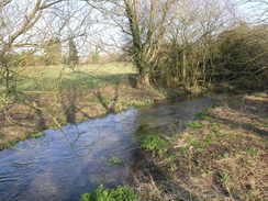 P20082183676	The Tarrant near Luton Farm.