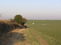 P20082183708	The path leading to Bishops Court Dairy.