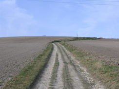 P20082273751	The track leading up Hambledon Hill.