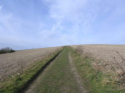 P20082273756	The track leading up Hambledon Hill.