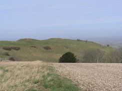 P20082273759	The ramparts of the old fort on Hambledon Hill.