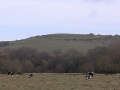 P20082273780	Looking back north to Hambledon Hill.