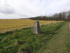 P20082273792	The trig pillar on Okeford Hill.