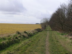 P20082273793	The path on Okeford Hill.