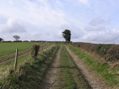 P20082273798	Following the track southwestwards from Okeford Hill.