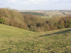 P20082273891	Heading east from The Folly towards Sutcombe Wood.