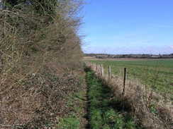 P20083193942	The path alongside Bull's Bush Copse.