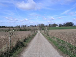 P20083193966	The track heading south from Dummer.