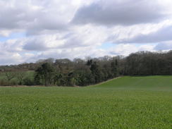 P20083193969	Heading south towards Dummer Grange.