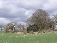 P20083193982	An old pit near Becket's Down.