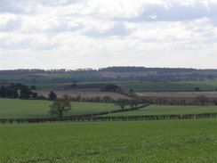 P20083193984	Heading south towards Becket's Down.