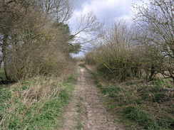 P20083194016	The track climbing eastwards from Totford.