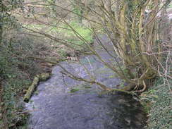 P20084104075	The River Alre to the north of Alresford.