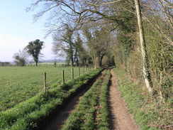 Walk 813