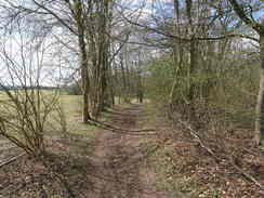 P20084104162	Following the Wayfarer's Walk southwestwards towards Abbotstone.