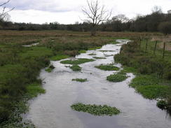 P20084104221	The River Itchen near Cheriton Mill.