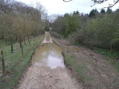 P20084104245	A boggy stretch on Appledown Lane.