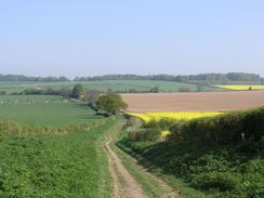 P20085074602	Heading south towards Primrose Cottages.