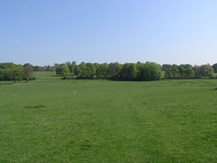 P20085074618	Heading south from Hinton Ampner.