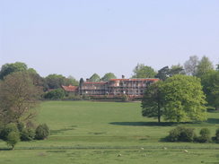 P20085074619	Looking back towards Hinton Ampner House.