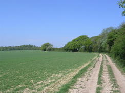 P20085074637	The track leading to Lomer Farm.