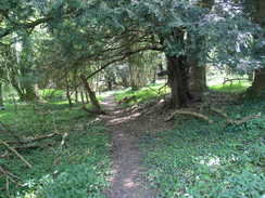 P20085074650	Following the path across Droxford Down.