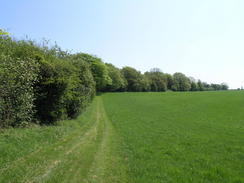 P20085074654	Following the path across Droxford Down.