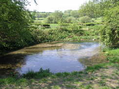 P20085074683	The River Meon at Soberton.