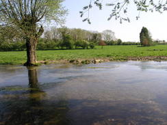 P20085074702	The River Meon in Exton.