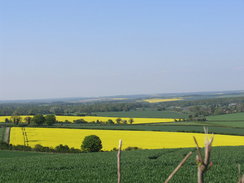 P20085074724	Fields to the north of Millbarrow Down.