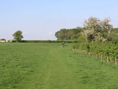 P20085074732	The junction with the South Downs Way on Gander Down.