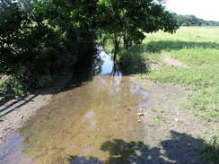 P20086054833	The stream near Sheepwash Lane.