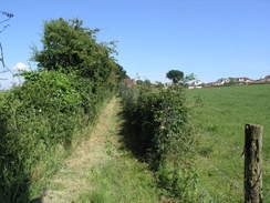 P20086054844	The path heading south from Purbrook Heath.