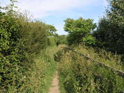 P20086094884	The path around Fort Purbrook.