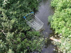 P20086094905	A shopping trolley in a stream in Brockhampton.