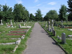 P20086094936	Warblington churchyard.