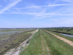 P20086094985	Walking down the western coast of Thorney Island.