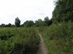 P20087305072	Heading south along the Itchen Navigation.