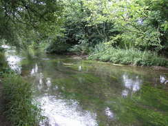 P20087305074	Heading south along the Itchen Navigation.